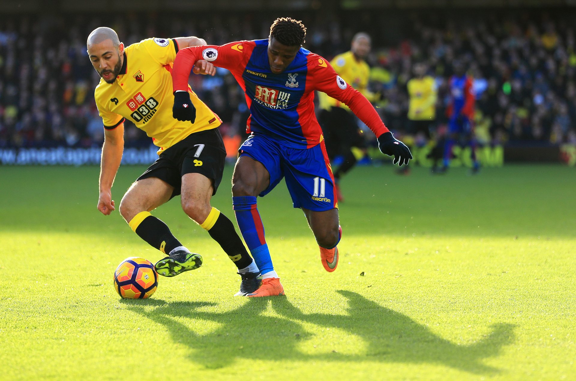 都可能成为 都可能成为